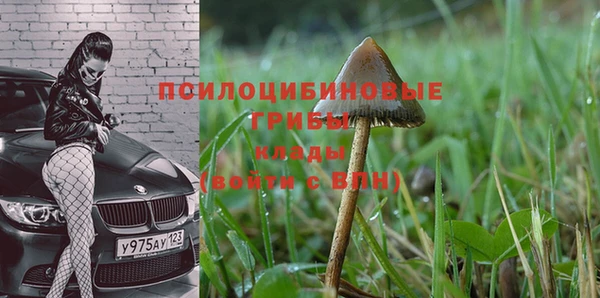 синтетический гашиш Балахна
