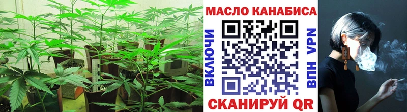 что такое   Красный Холм  ТГК Wax 