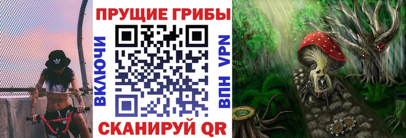 Галлюциногенные грибы прущие грибы Красный Холм
