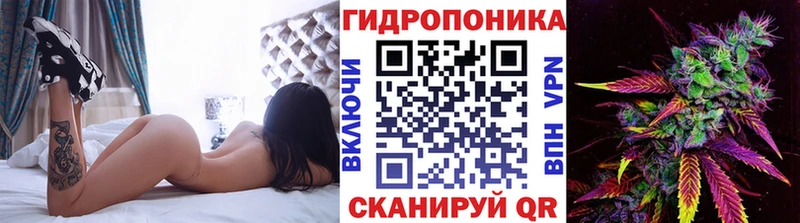 Канабис VHQ  Красный Холм 